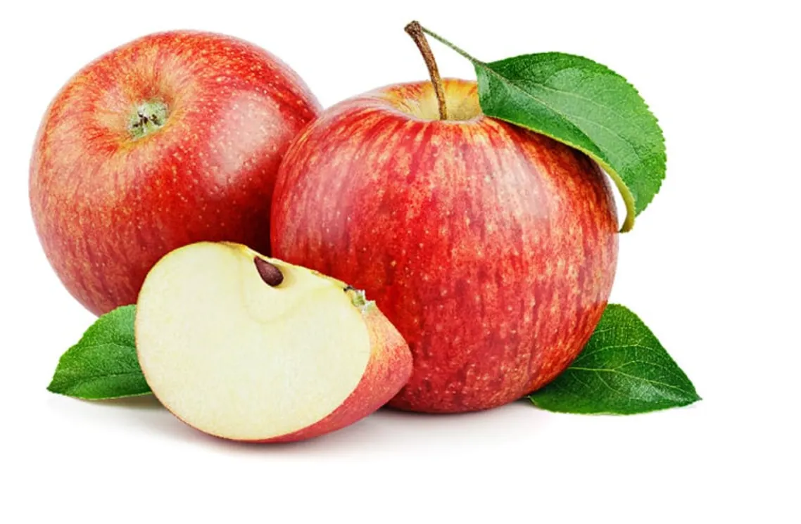 The Complete Life Cycle of an Apple From Seed to Fruit Explained for Beginners & Experts