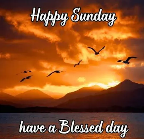 happy sunday blessings
