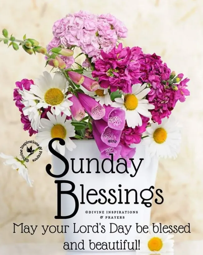 wednesday blessings